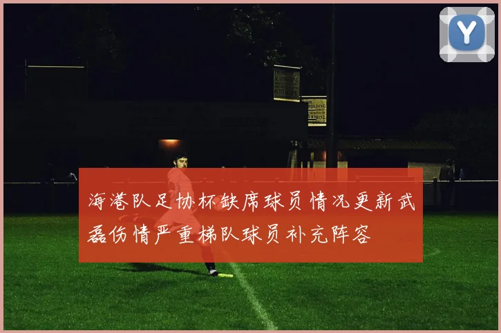 海港队足协杯缺席球员情况更新武磊伤情严重梯队球员补充阵容