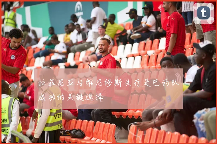 拉菲尼亚与维尼修斯共存是巴西队成功的关键选择